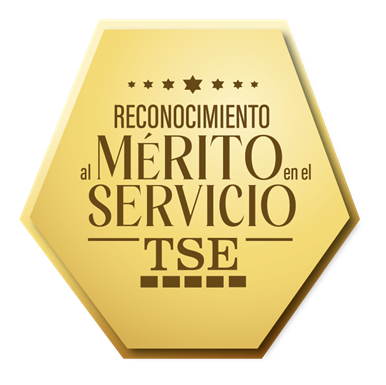 Logo TSE